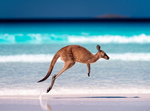 Fully funded artist residencies Australia 2025–2026 for international artists