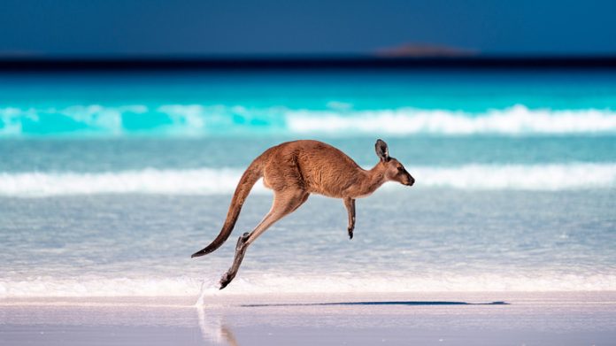 Fully funded artist residencies Australia 2025–2026 for international artists