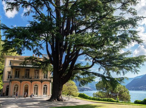 Lake Como INEM Summer School 2026 Villa del Grumello Italy