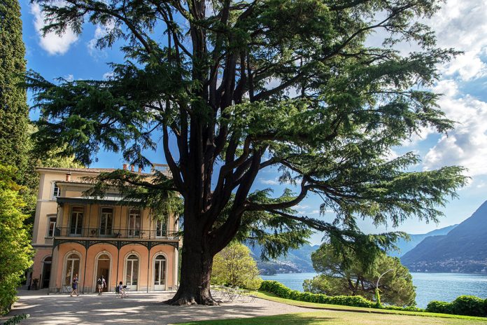Lake Como INEM Summer School 2026 Villa del Grumello Italy
