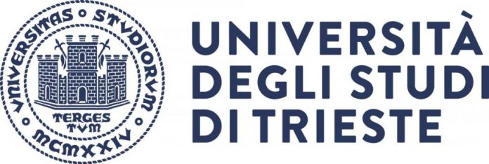 PhD Programs 2026 – 41st Doctoral Program Call for Applications
