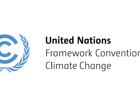 UNFCCC CAPACITY Fellowship 2026 in Bonn Germany for climate professionals